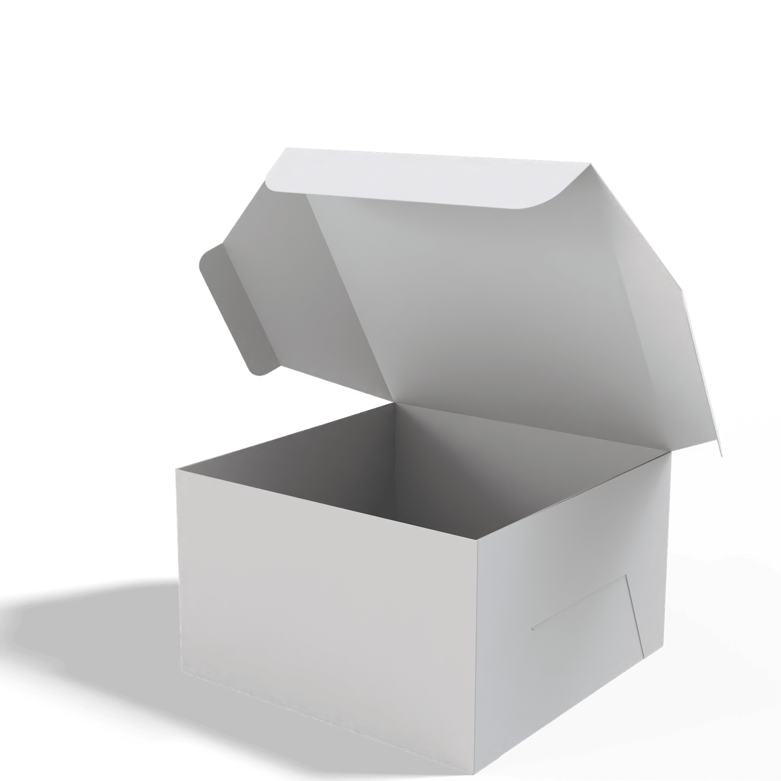 Render_Mockup_1920_1920_2026-02-04 (16)