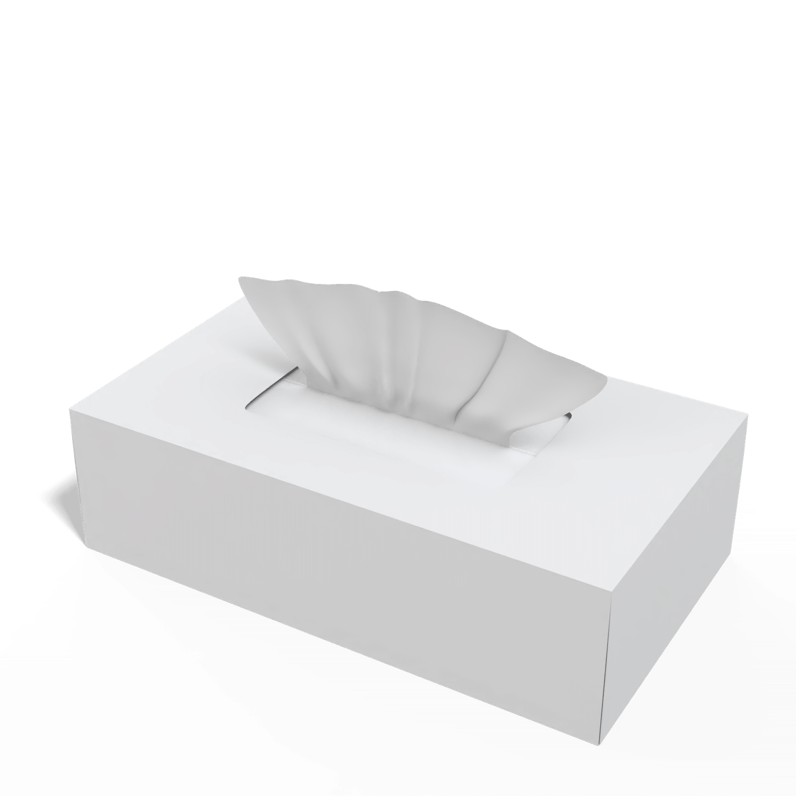 Render_Mockup_1920_1920_2026-02-08 (23)