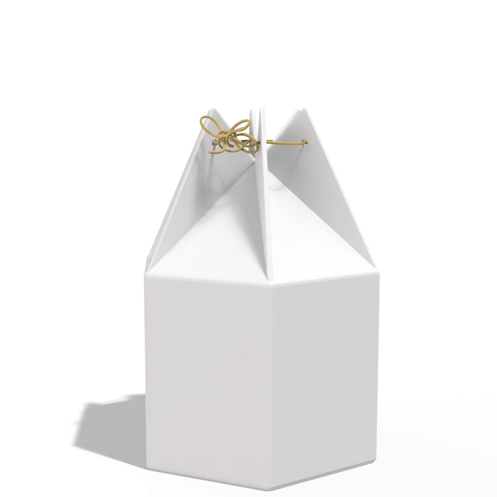 Render_Mockup_1920_1920_2026-02-07 (37)